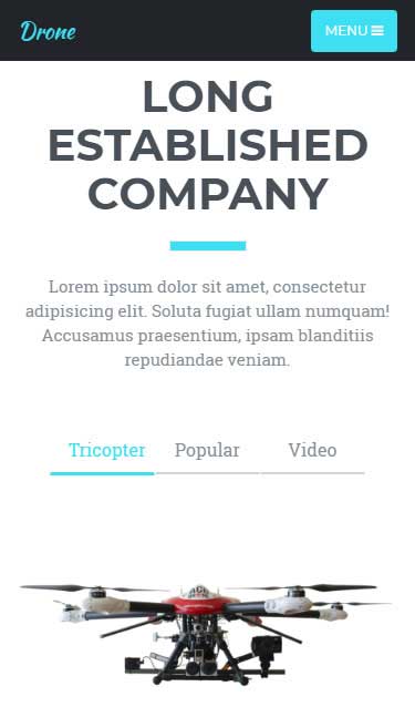 在线短信轰炸网页版